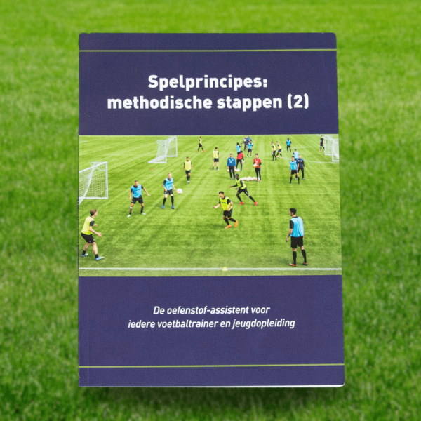 boek spelprincipes 2 methodische stappen